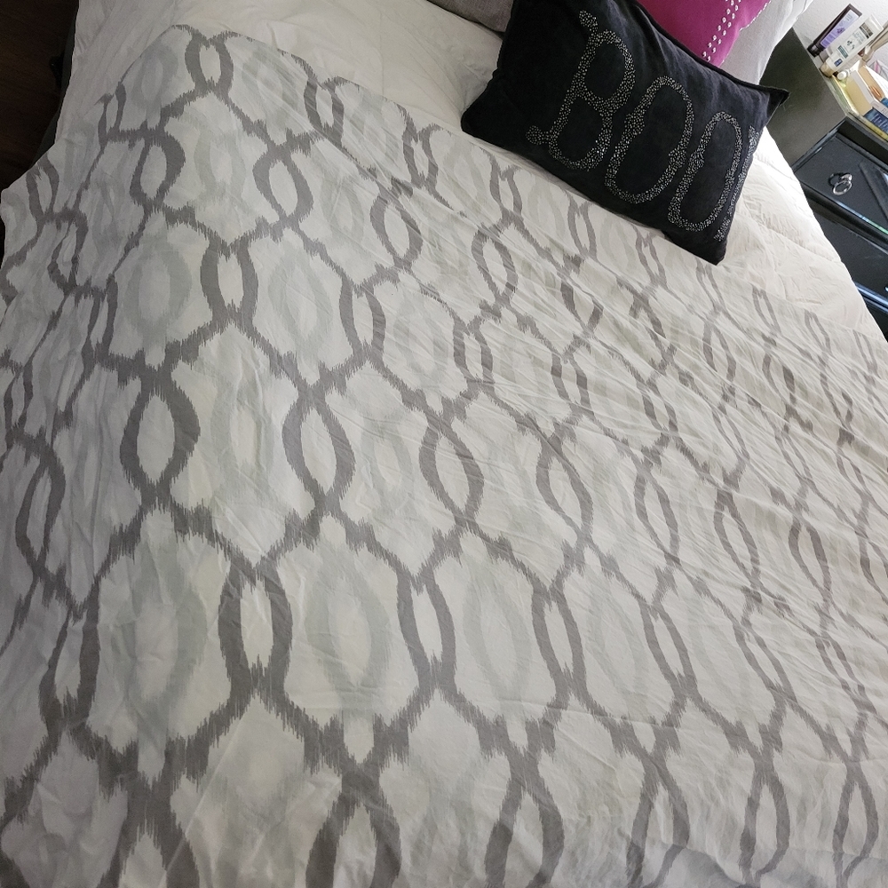 West Elm Orgamic Cotton Duvet